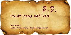 Palásthy Dávid névjegykártya